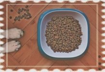 pet food,dog food,cat food,best dog food,dog food review,pet fooled,healthy dog food,pet food (industry),food,best cat food,pet food game