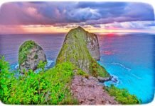 Technology Revolution