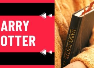 harry potter on peacock