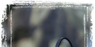 How to Apply Makeup Like a Pro